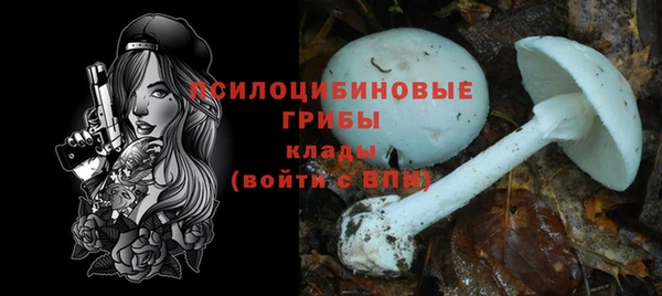 каннабис Белокуриха