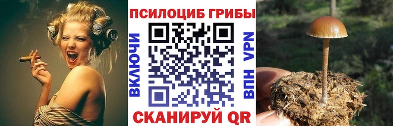 Псилоцибиновые грибы GOLDEN TEACHER  кракен онион  Кувшиново 